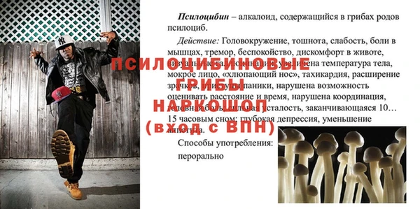 молекула духа Нязепетровск